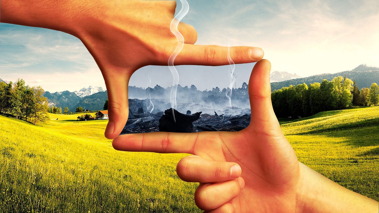 Illustration of two hands with the finger and thumb forming a frame. Outside the frame there is a beautiful landscape and within the frame it's a burnt landscape. 