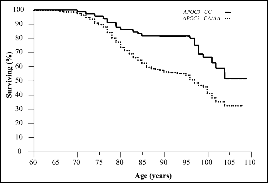 The Lipid Marker Linked to Longevity (It’s Not LDL)