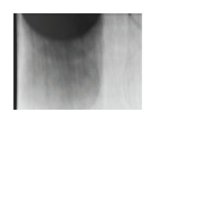 karu40_front