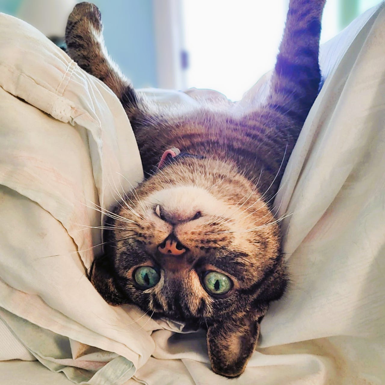 Margaret Reyes Dempsey / Pragmatic Mystic