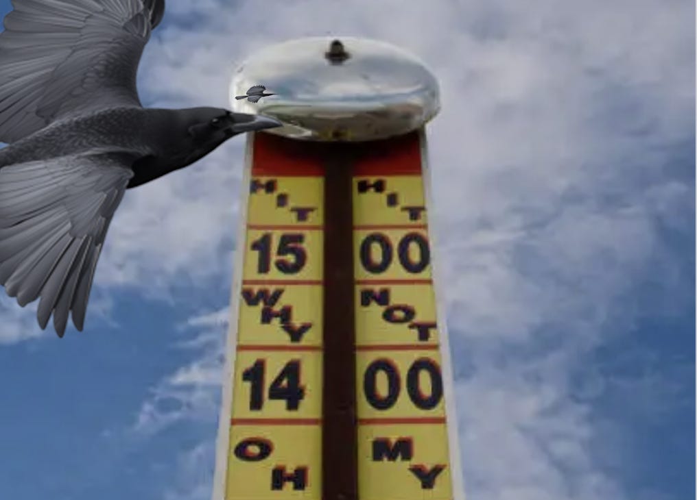 Crow Calls: Week of Jan 20 - by Reverend Crow