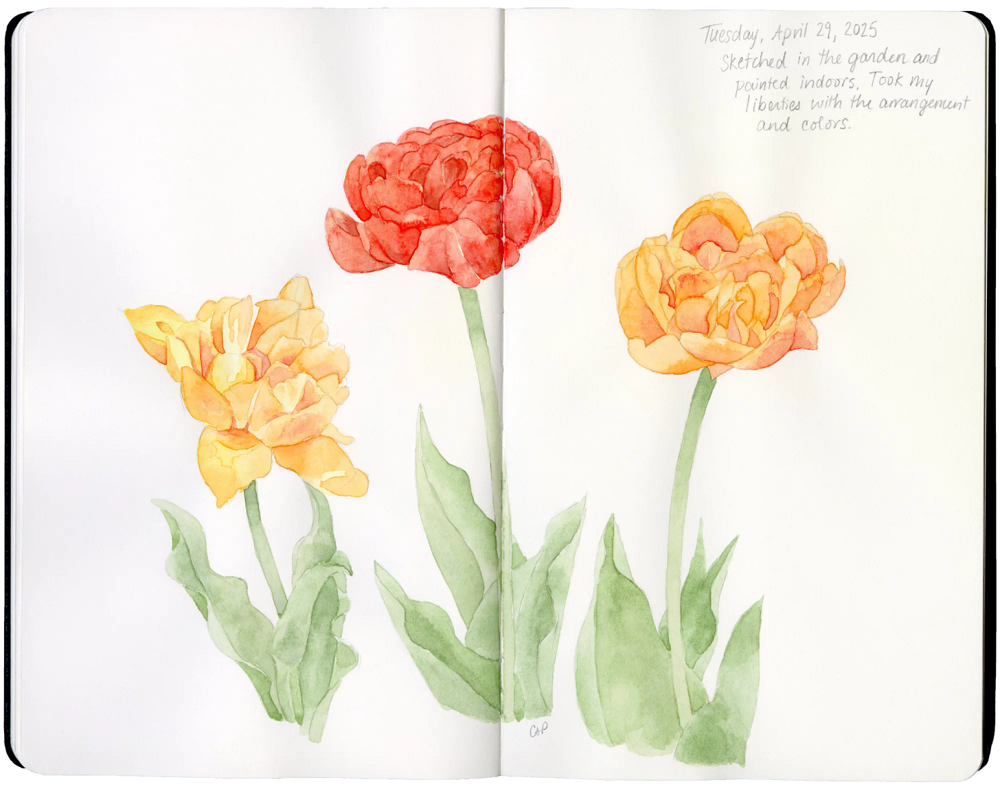 An open sketchbook with a painting of three tulips.