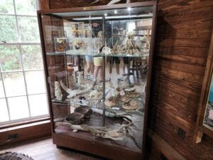 Escape from New York Socialism: Fed up with NYC? Discover Daufuskie Island, a Carolina refuge of freedom, faith, and fried flounder.