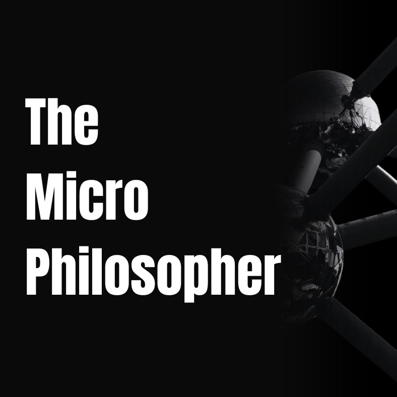 The Micro-Philosopher