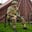 Chris Dunn's avatar