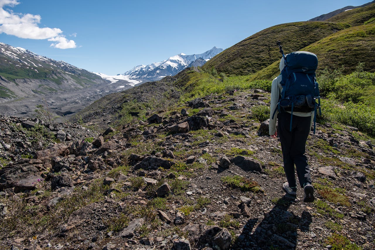 A narrow footpath winds through low green tundra and scattered brush toward a broad valley of grey glacial debris and braided meltwater, the rubble-covered Canwell Glacier stretching into the distance. Dark, snow-streaked ridges rise on either side under a bright sky.