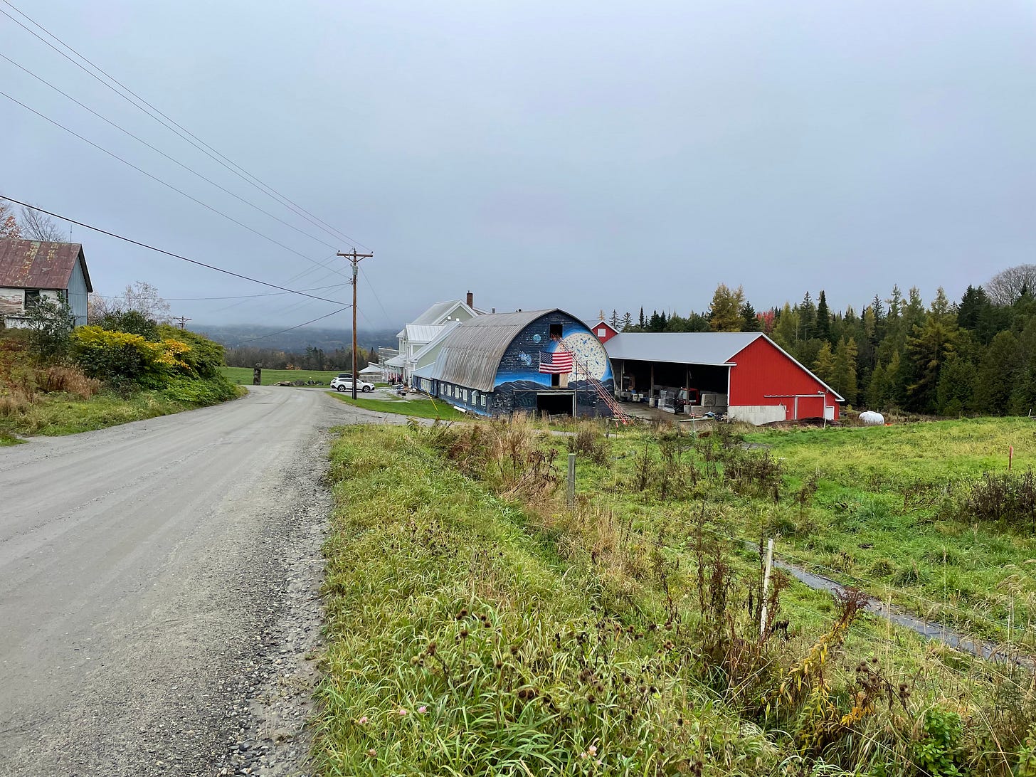 The barns of Jasper Hill in autumn, one of which has an intergalactic mural of a blue cheese