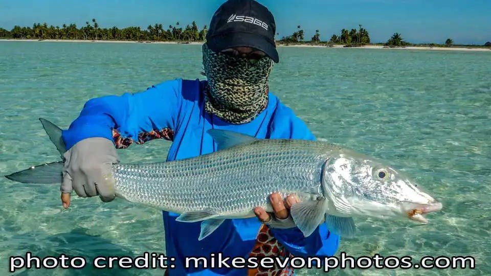 Christmas Island Bonefish