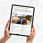 7 Tips to Build a Creativity Habit