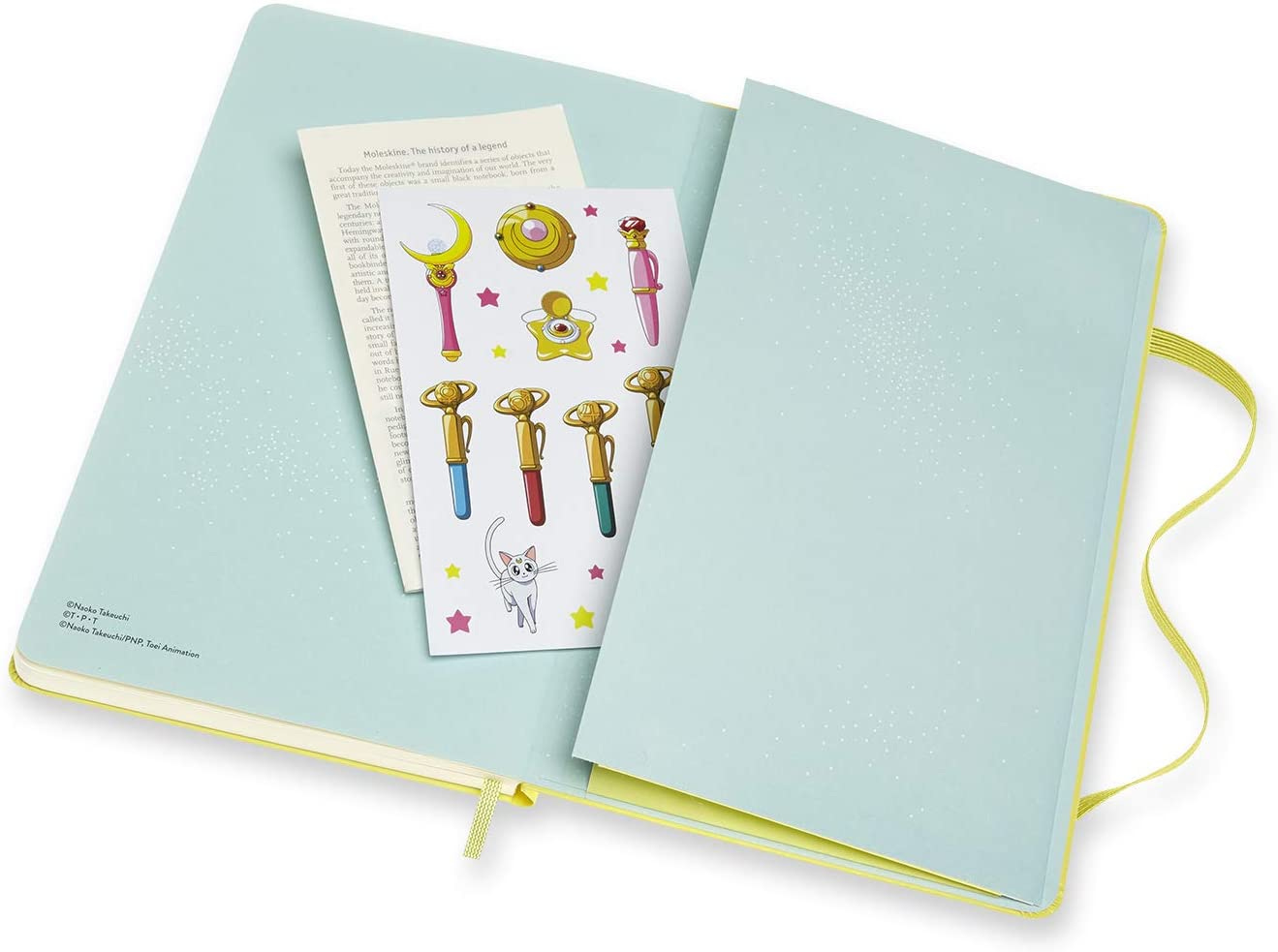 Sailor Moon Moleskin notebook.