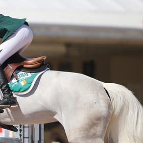 SJI National Training Bursary Clinic to be held at Hollypark Stables