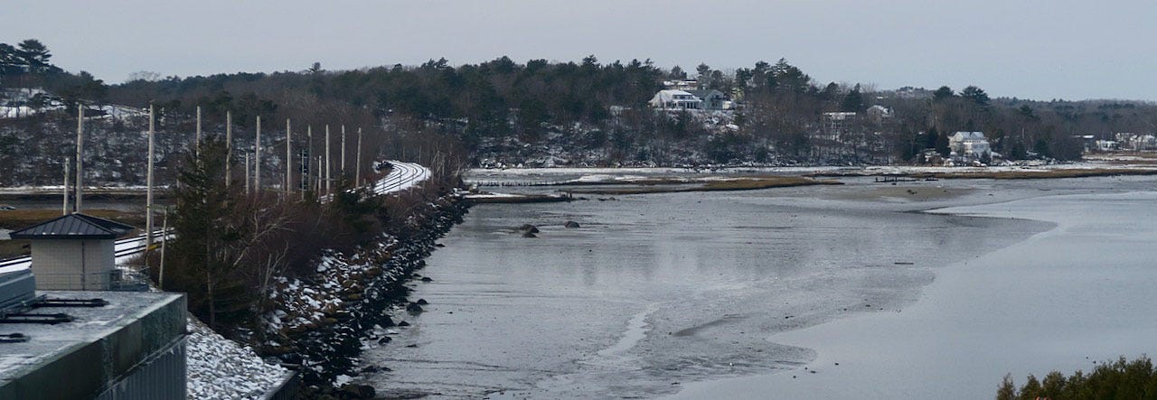 A body of water with trees in the background

Description automatically generated