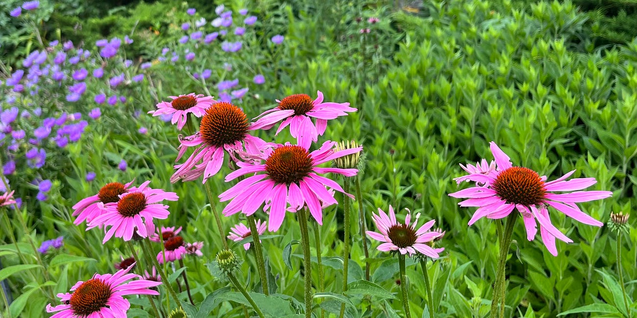 Nature Can Be Nourishing... Even in Bad Weather