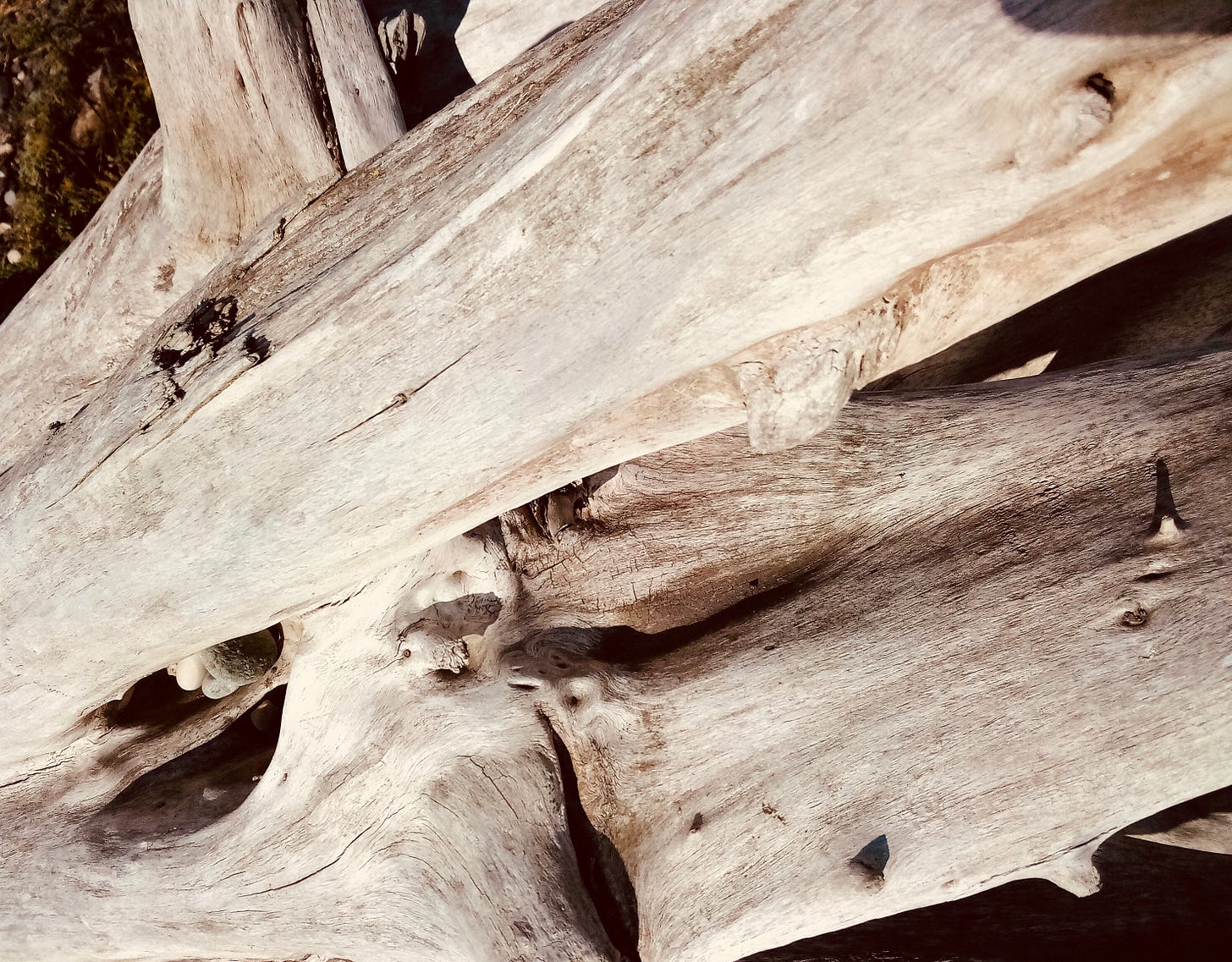 Pale driftwood piled on a rocky beach