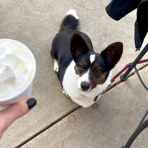 photos of Dylan and Gwen at the cafe