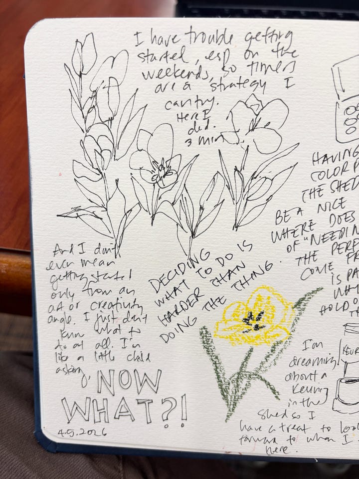 A photograph of yellow tulips; a photograph of my sketchbook showing my sketch of yellow tulips