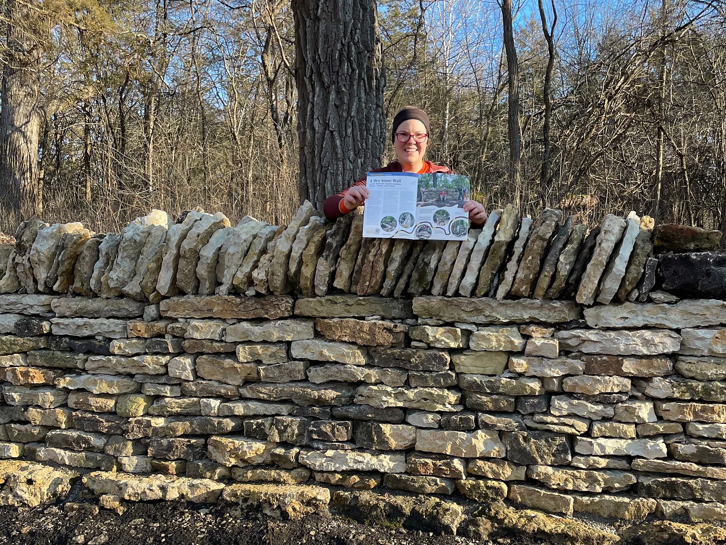 A Postcard from the Moss: December 2025 - by Alice Weinert