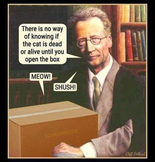 Schrodingers stupid : r/funny