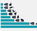 How Did Primate Intelligence Evolve? A Hint: Neurons. – SAPIENS How Did Primate Intelligence Evolve? A Hint: Neurons. – SAPIENS