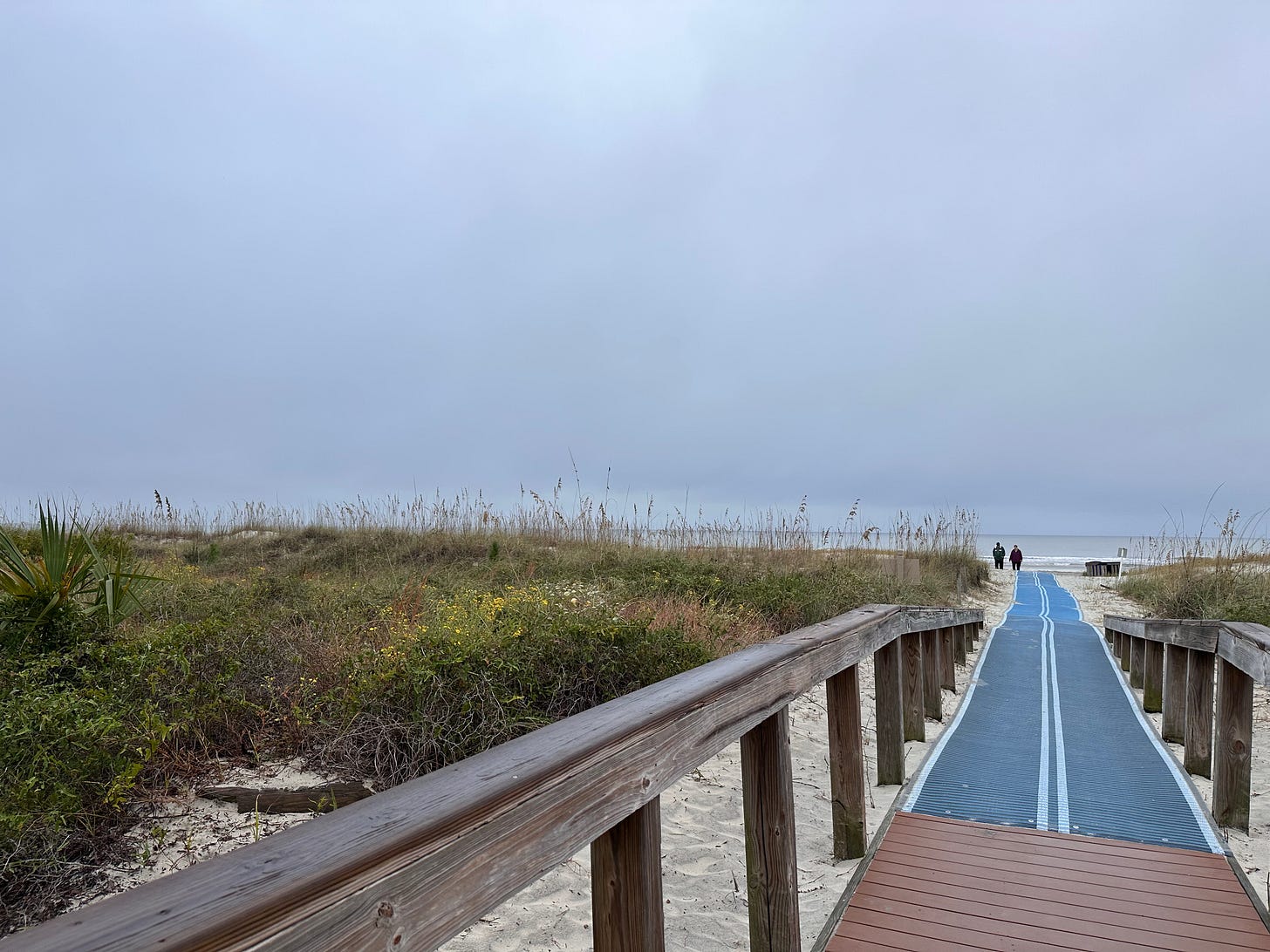 beach path to ocean with overcast sky
