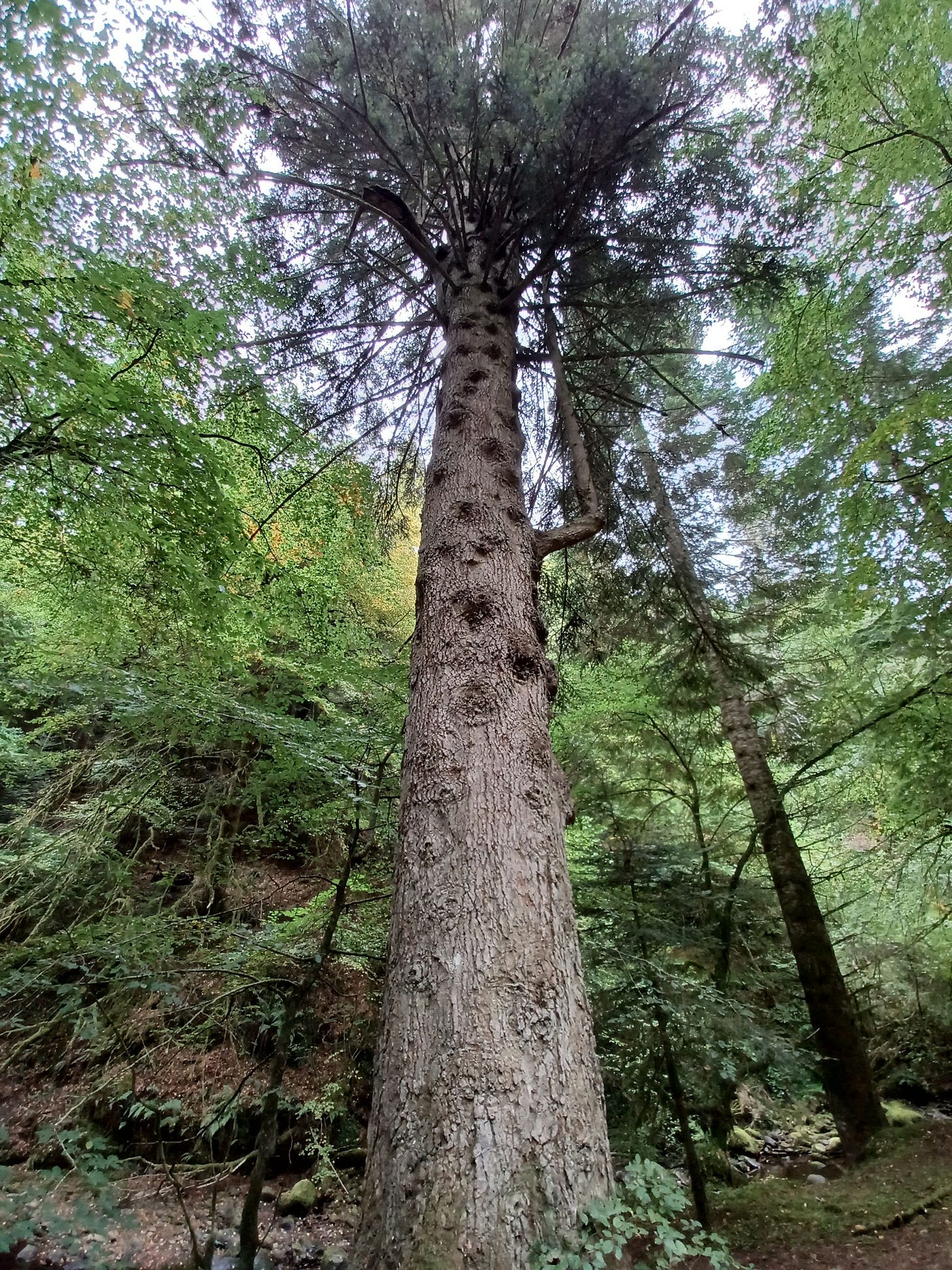 Cairngorms National Park: Scenic Drives