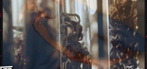 These wormlike blood clots are what develops form self-assembling nanoparticles in the COVID Jabs