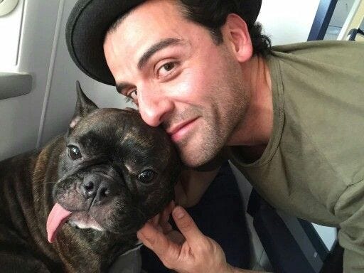Oscar & Carrie Fisher's dog Gary. Taken from her Twitter | Oscar ... Oscar & Carrie Fisher's dog Gary. Taken from her Twitter | Oscar ...