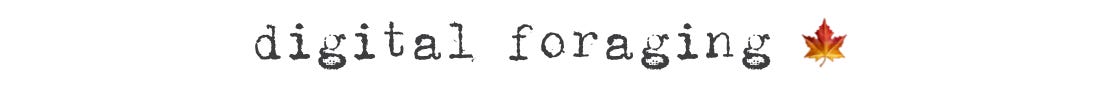 SS-Header-Digital-Foraging.png