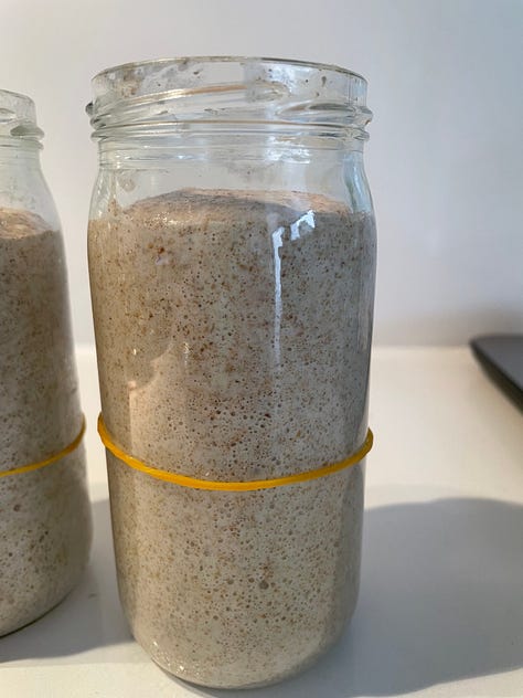 107 year old organic rye sourdough starter, sourdough bread, dehydrated starter, Australian flour, bake sourdough at home, rye, water, salt, RNR Sourdough, Rock n Roll Sourdough
