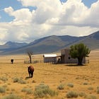 When the Grazing Land Costs $872 a Year: The Zorro Ranch Nobody Searched