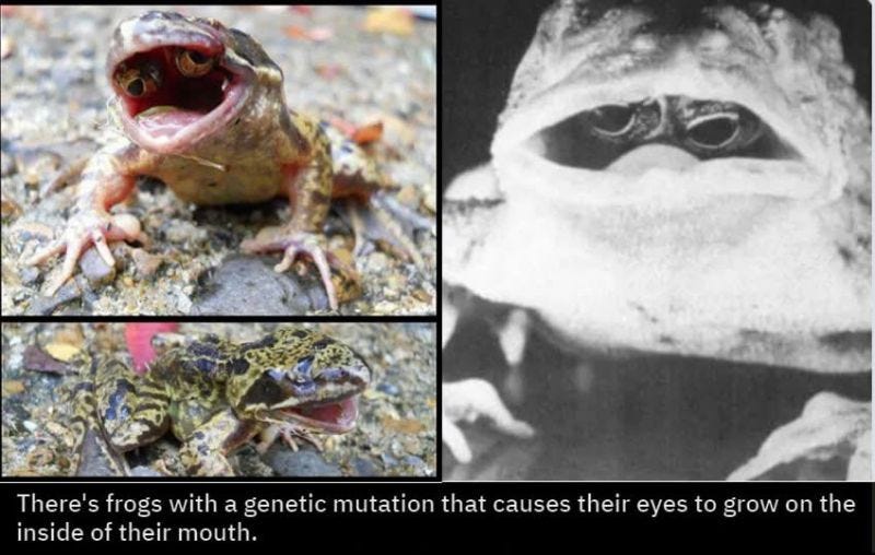Horrifying but true.