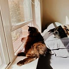 8 Gentle Truths for Exhausted Hearts