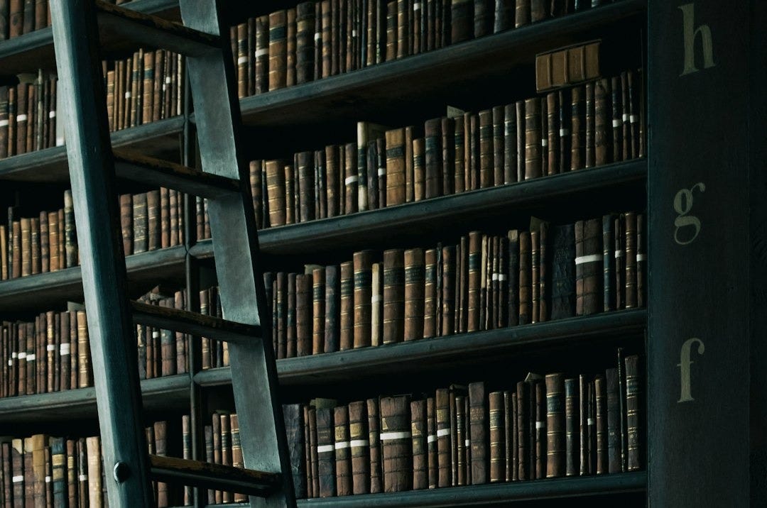 library shelf near black wooden ladder library shelf near black wooden ladder