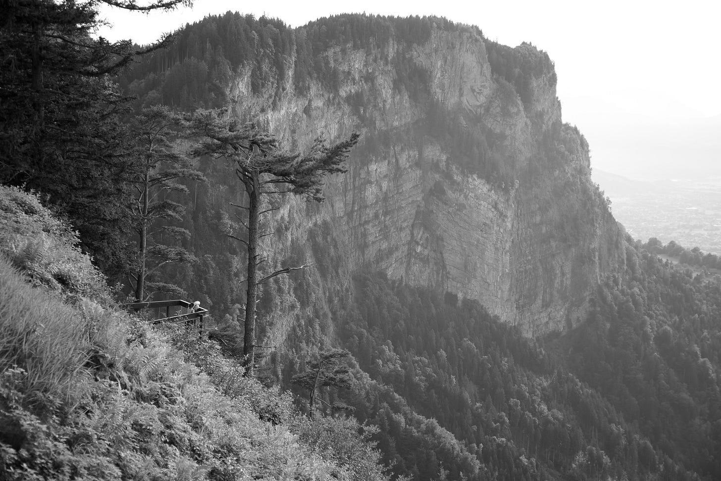 mountain view black and white