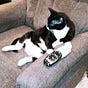ChillCat's avatar