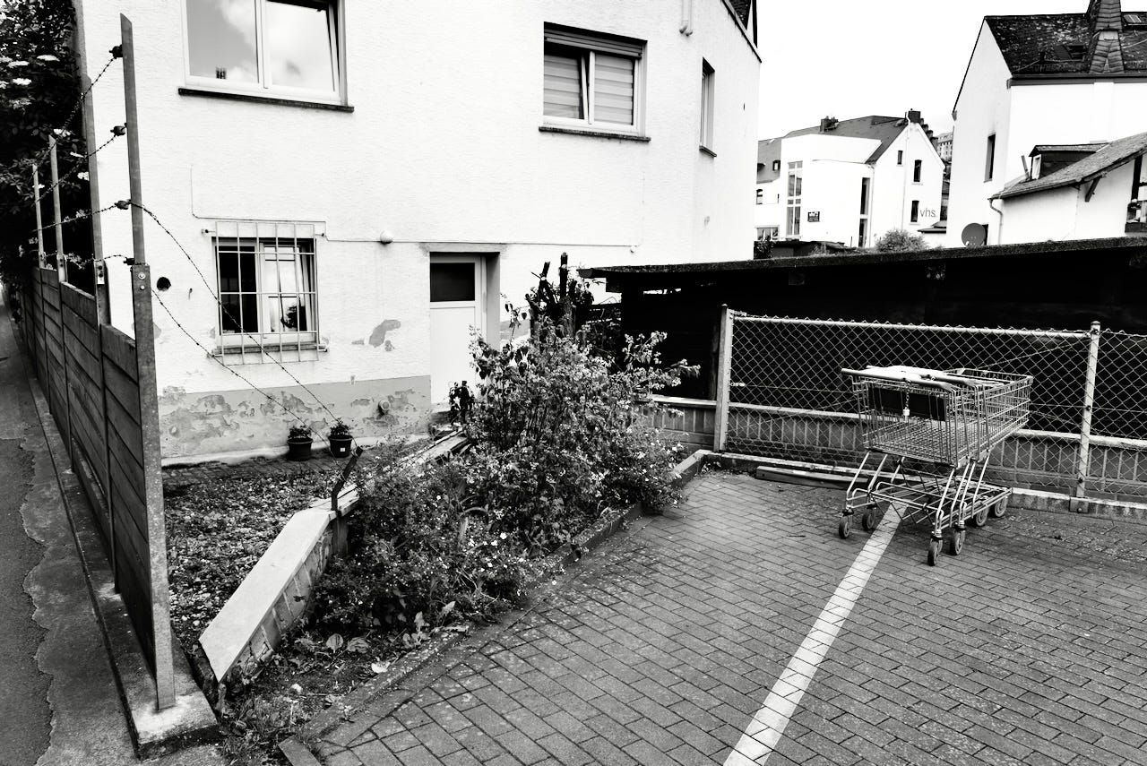 Einkaufswagenkunst