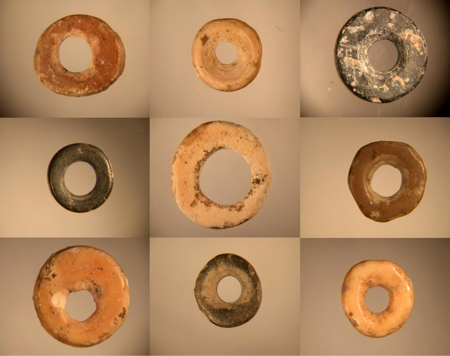 Ancient Ostrich Eggshell Beads Reveal 50,000-Year-Old Social Network Across Africa Ancient Ostrich Eggshell Beads Reveal 50,000-Year-Old Social Network Across Africa