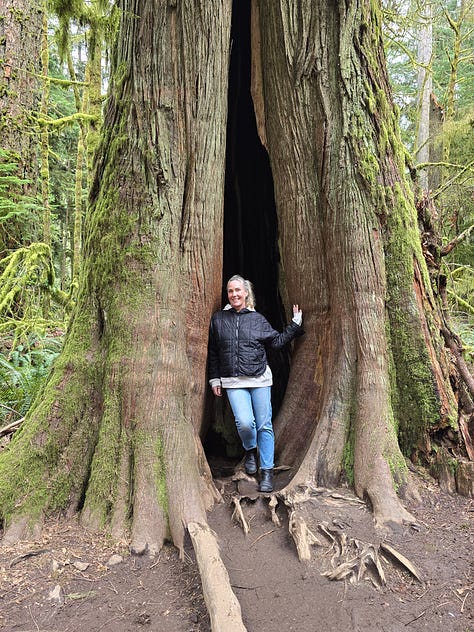 Me and some big trees Cathedral Grove Forest Vancouver Island, Becca at dads jam session, Becca and I on Rathtrevor beach 