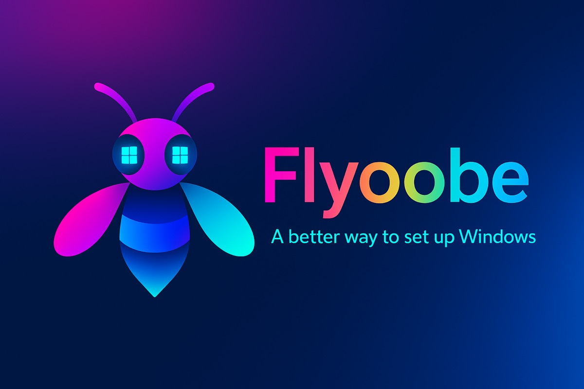 Flyoobe, a Windows setup assistant