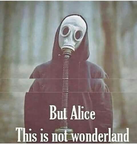 This may contain: a person wearing a gas mask with the words, but alice this is not wonderlandland