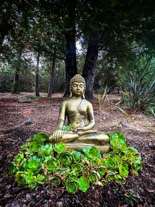 My Everyday Life Week 37 of 2025- Tracy Benjamin of Shutterbean.com