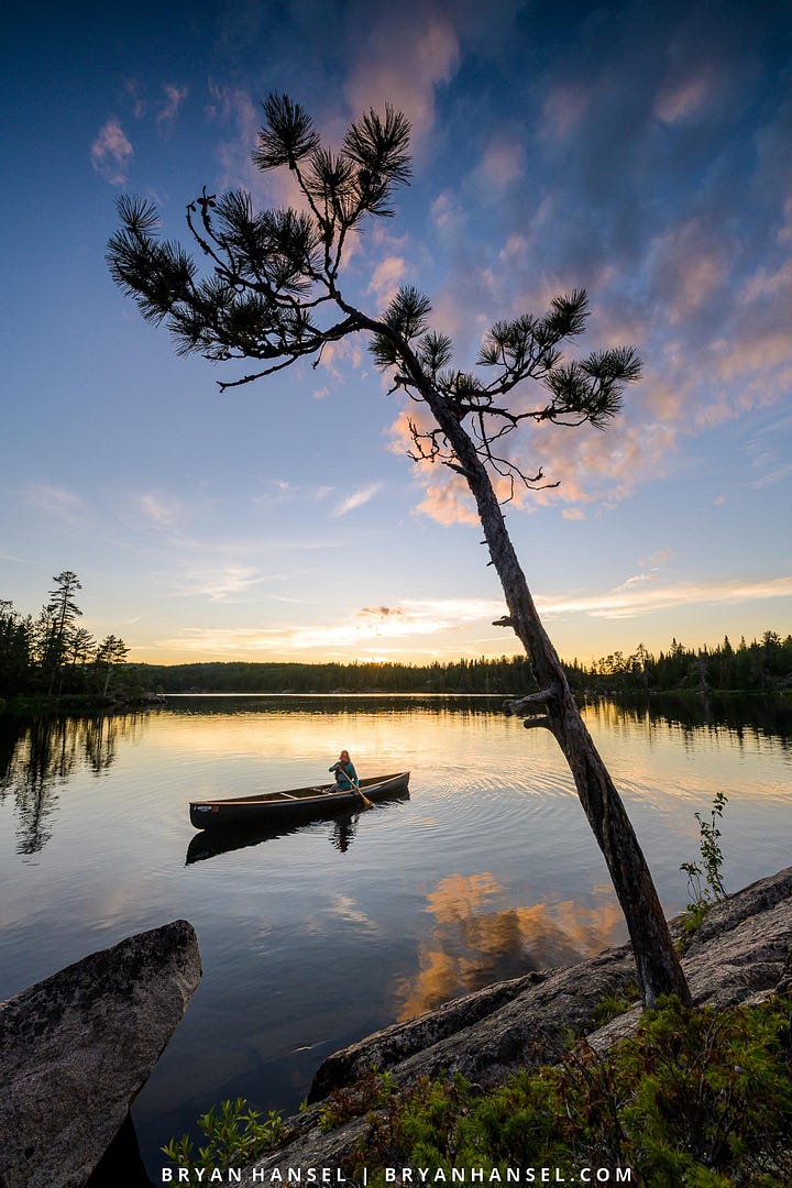 A photo of a tree and sunrise or sunset over a lake.