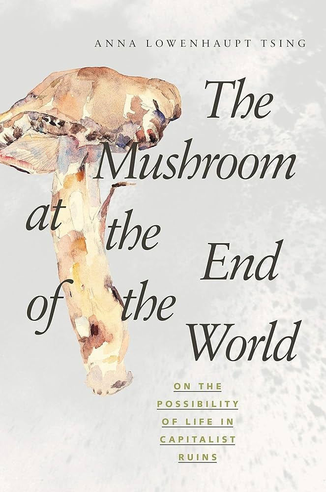 The Mushroom at the End of the World: On the Possibility of Life in  Capitalist Ruins