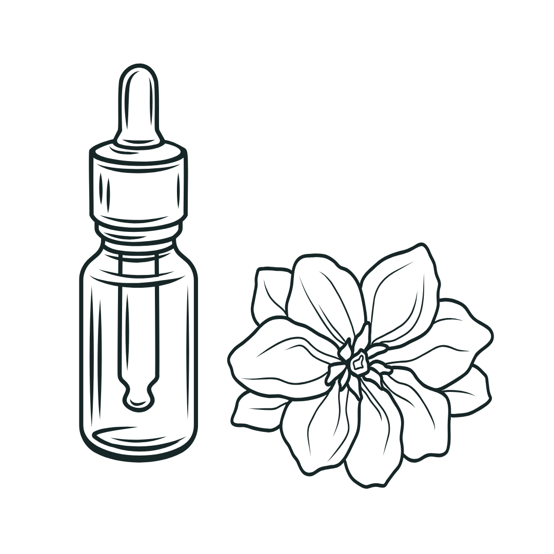 The Nature of You : Recovering Self Through Plant Wisdom