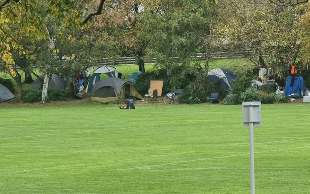 Dunedin's homeless and rough sleepers erect growing tent encampment | RNZ