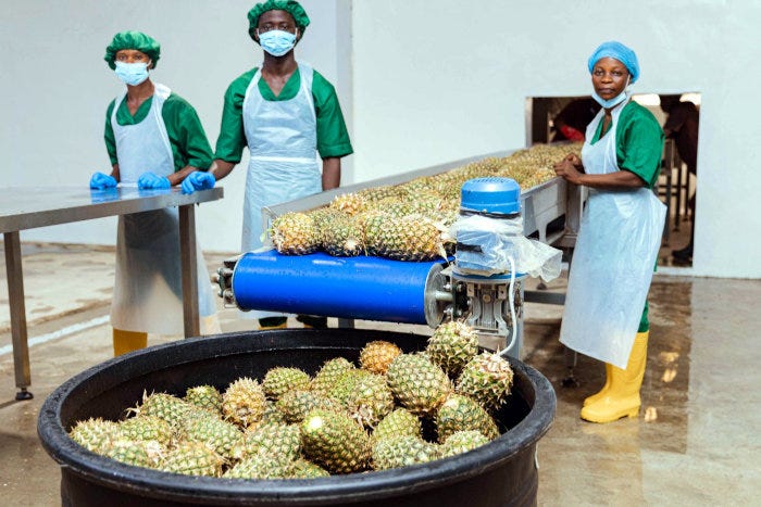 Employees at ReelFruit's new factory. Employees at ReelFruit's new factory.