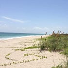 Six arrested for nudity north of Blind Creek Beach