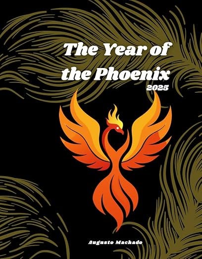 2025: The year of the Phoenix (DataS2 Research Notes) (English Edition) 2025: The year of the Phoenix (DataS2 Research Notes) (English Edition)