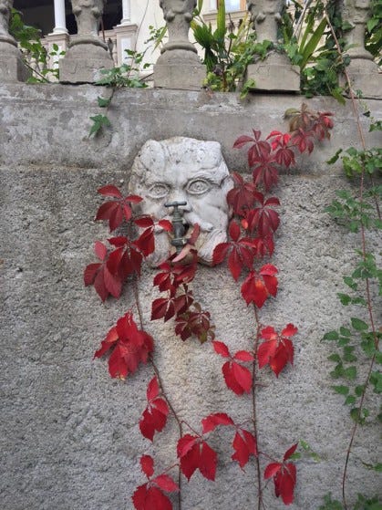 villa magnolia red leaves on face spigot (up close) villa magnolia red leaves on face spigot (up close)