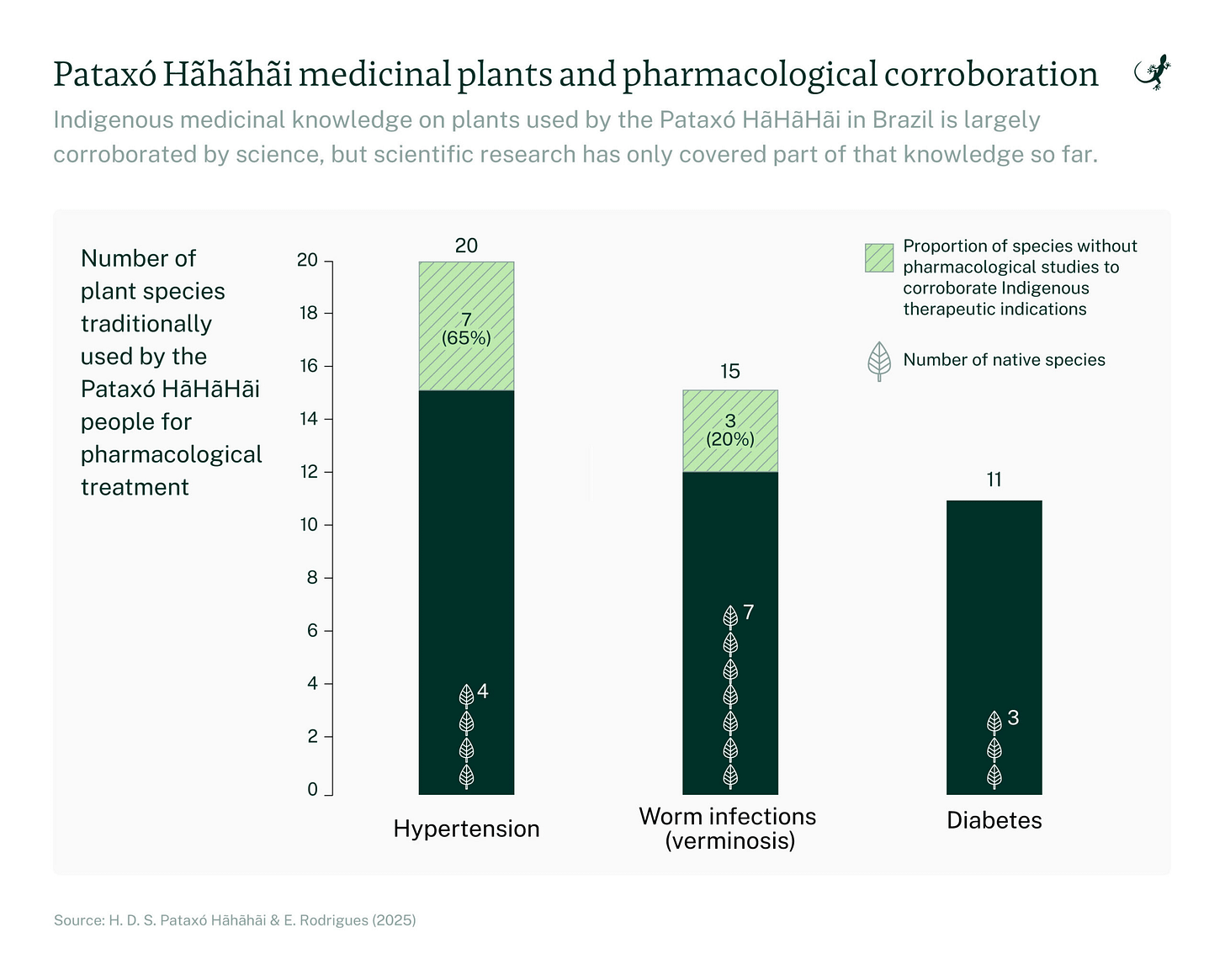 Chart: Pataxó HãHãHãi medicinal plants and pharmacological corroboration